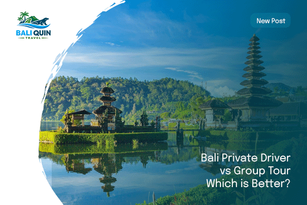 Bali-Private-Driver-vs-Group-Tour,-Which-is-Better