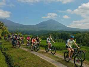 Bike Rental & Island Cycling Tour
