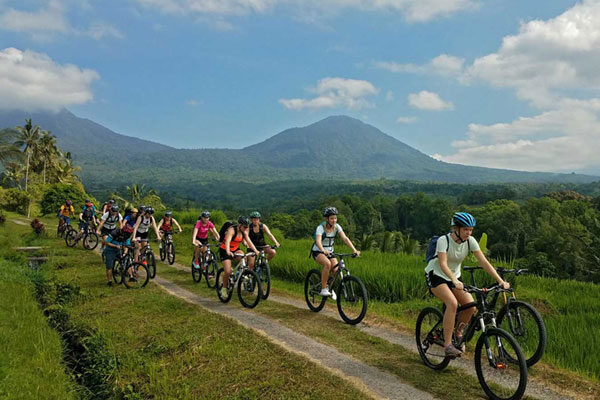 Bike Rental & Island Cycling Tour