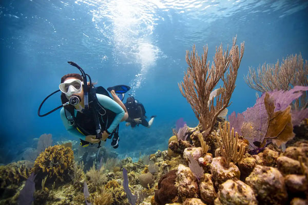 Diving-(Scuba-&-Fun-Dive)