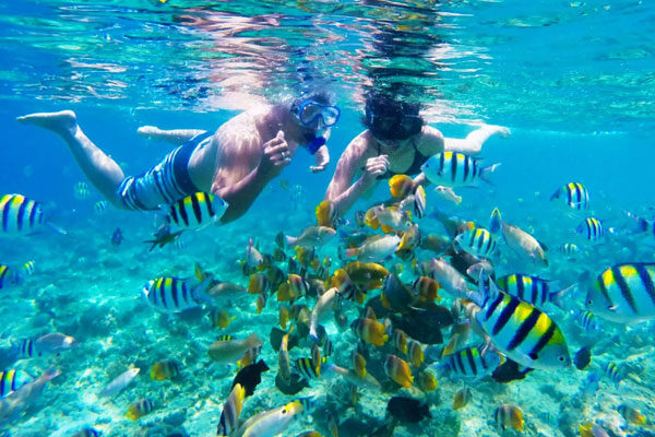 Snorkeling Trip